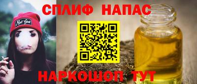 индика Будённовск