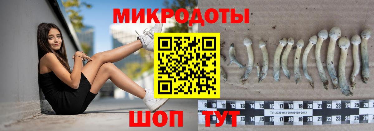 Псилоцибиновые грибы Psilocybe  Вход с VPN  Элиста  Галлюциногенные грибы мухоморы 